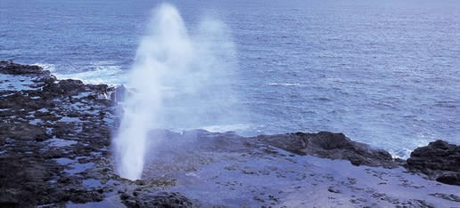 Blow Holes or Spouting Horns