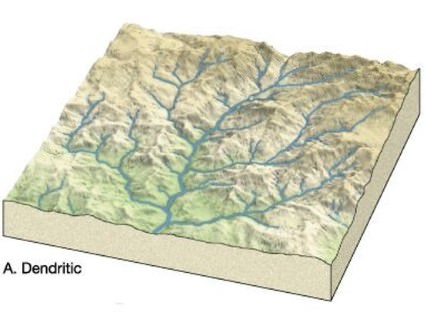 Dendric or Pinnate drainage pattern