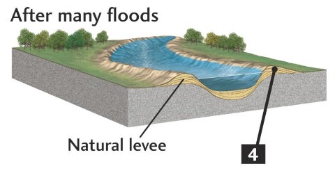 Natural Levees - flood barriers
