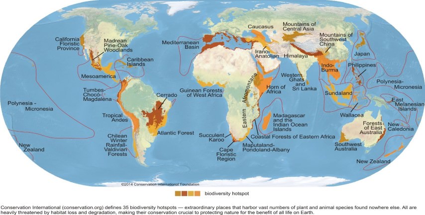 Biodiversity Hotspots Across the World