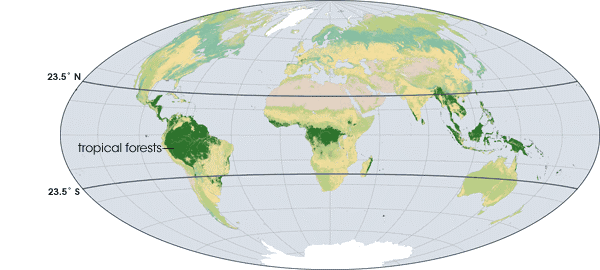 Equatorial Rainforest distribution