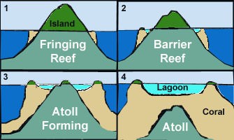 Fringing reef- barrier reef - atoll -lagoon