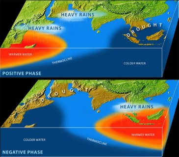 Indian Ocean Dipole effect