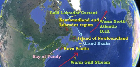 Newfoundland-grand-banks-fishing-industry.jpg