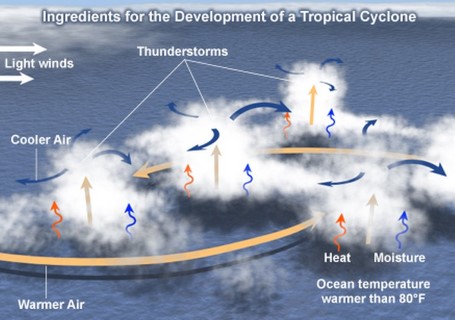 Tropical Cyclones development -low level disturbances