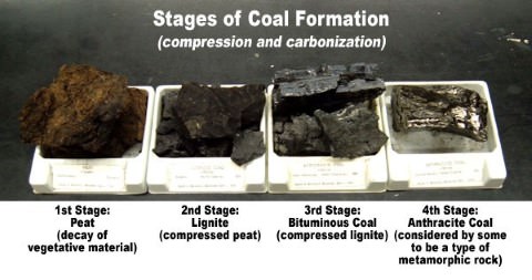 Types of coal - Peat, Lignite, Bituminous, Anthracite Coal