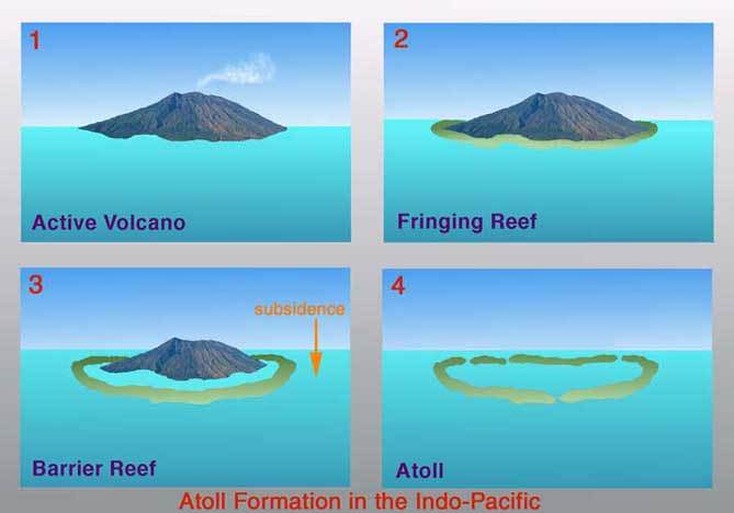 formation of Coral Reef-formation of lakshadweep island