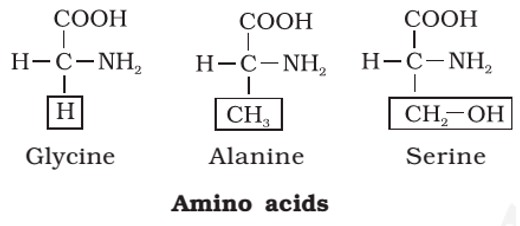 Amino Acids - Proteins