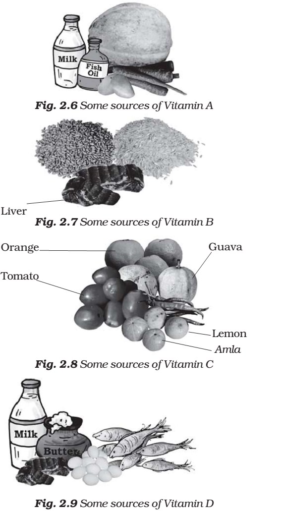 Food Sources of Vitamins - Minerals
