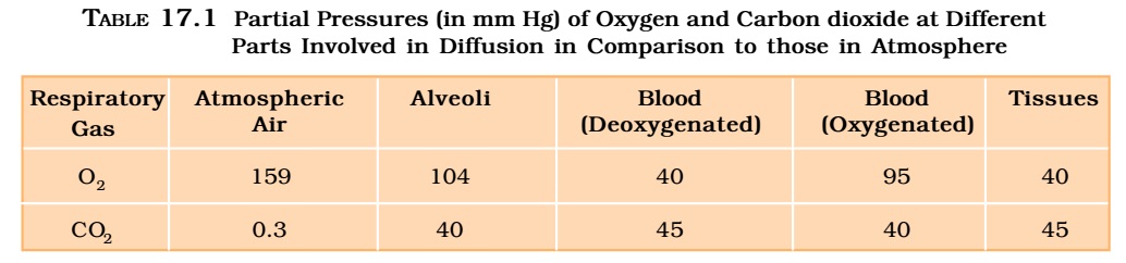 Partial Pressure - carbon dioxide - oxygen