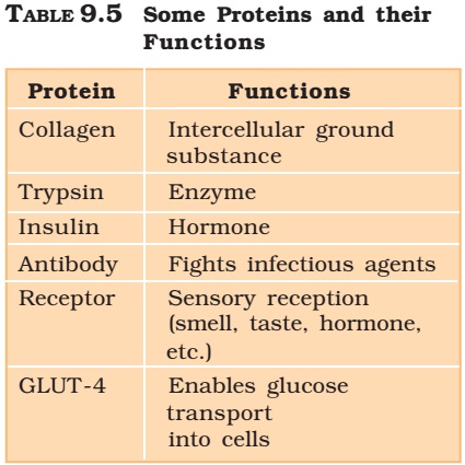 Proteins and their functions