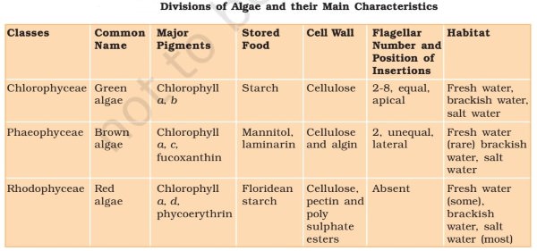 Types of Algae