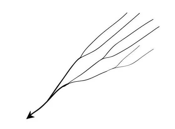 Parallel drainage