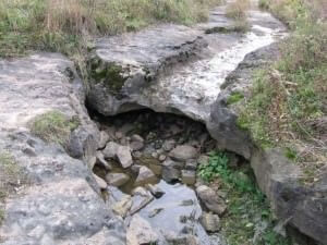 Sinking Creeks-Bogas-karst