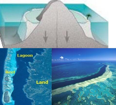 Fringing Reef Diagram