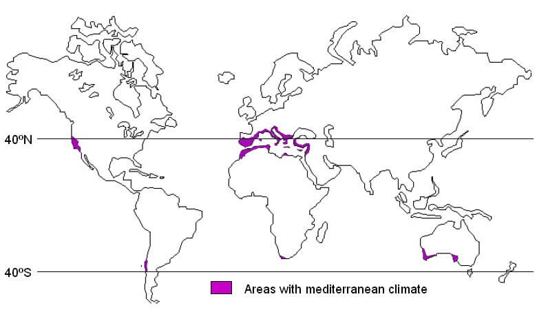 Mediterranean Climate - Western Margin Climate - West Coast Climate