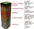 Soil Profile - Soil Horizon - soil layers