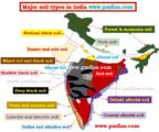 Soil Types - Major Soil Groups of India