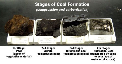 percentage of carbon in coal