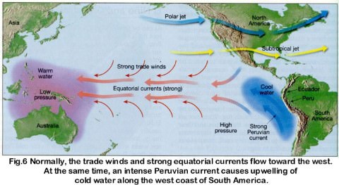 normal conditions in pacific ocean