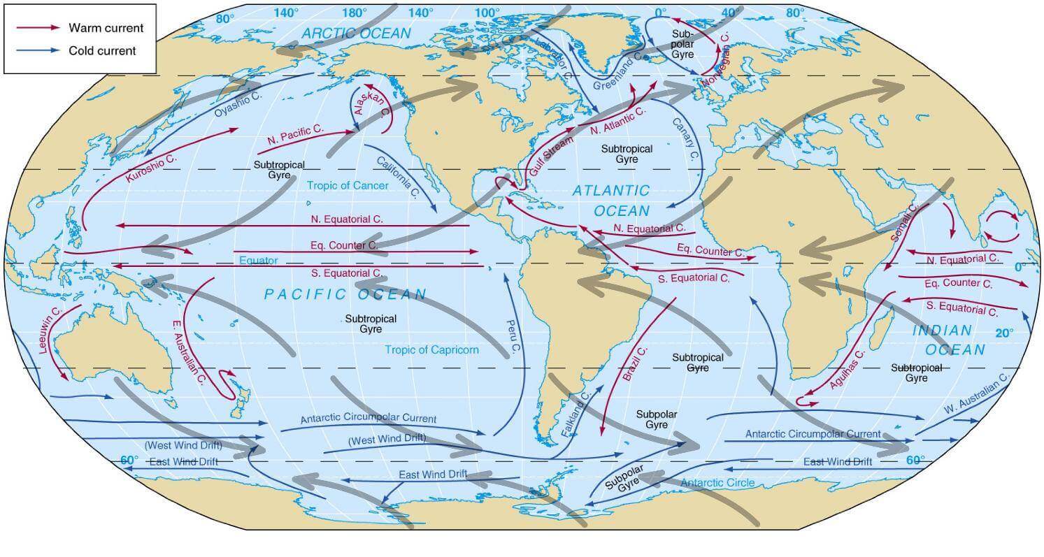 Ocean Currents Cold Currents Warm Currents 