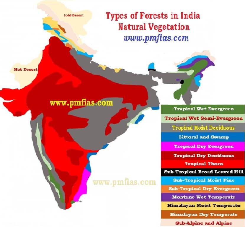 Types Of Natural Vegetation