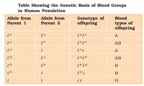 Co-dominance - blood groupsCo-dominance - blood groups
