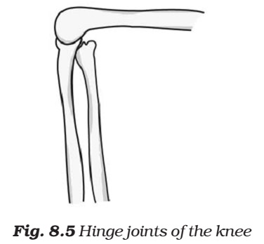Hinge joint
