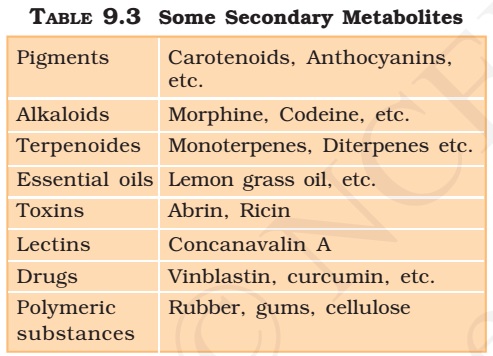 Vitamins And Deficiency Diseases Chart