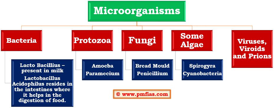 Diseases Caused by Microorganisms - PMF IAS