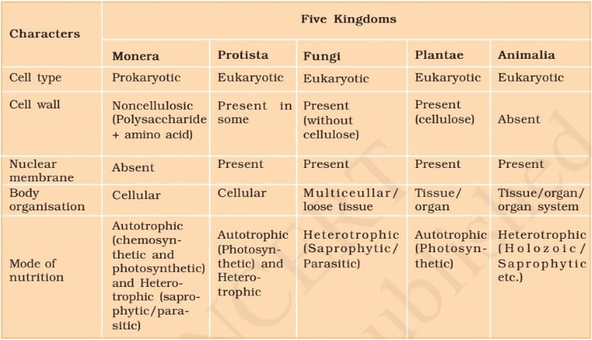 Biological Classification Of Humans Chart