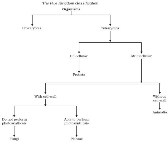 five kingdom classification given by