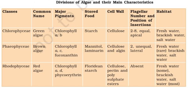 Types of Algae