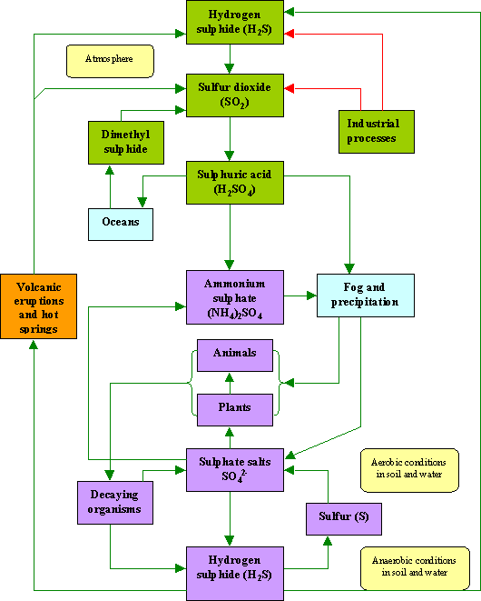 Sulphur Cycle (Sedimentary cycle)