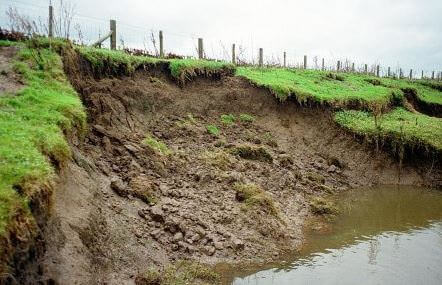 Streambank erosion