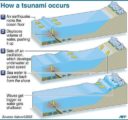 Mechanism of tsunami waves