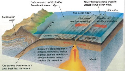 magnetic reversal mid ocean ridges