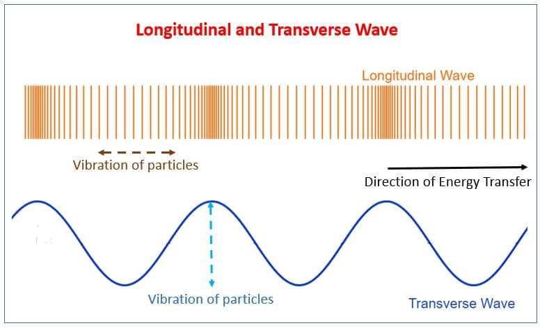 Characteristics Of Longitudinal And Transverse Waves Class 11 / What Is ...