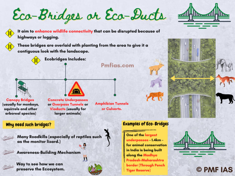 Eco-bridges or Eco-ducts