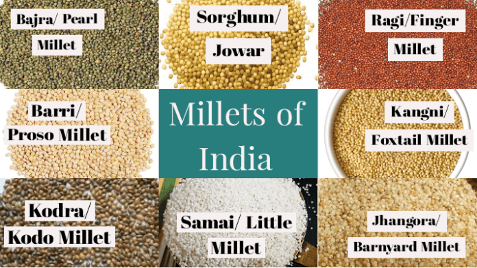 Millets Alternative Crops In India Benefits Challenges PMF IAS nirman-care-an-educational-blog-welcome-to-nirman-care-class-x