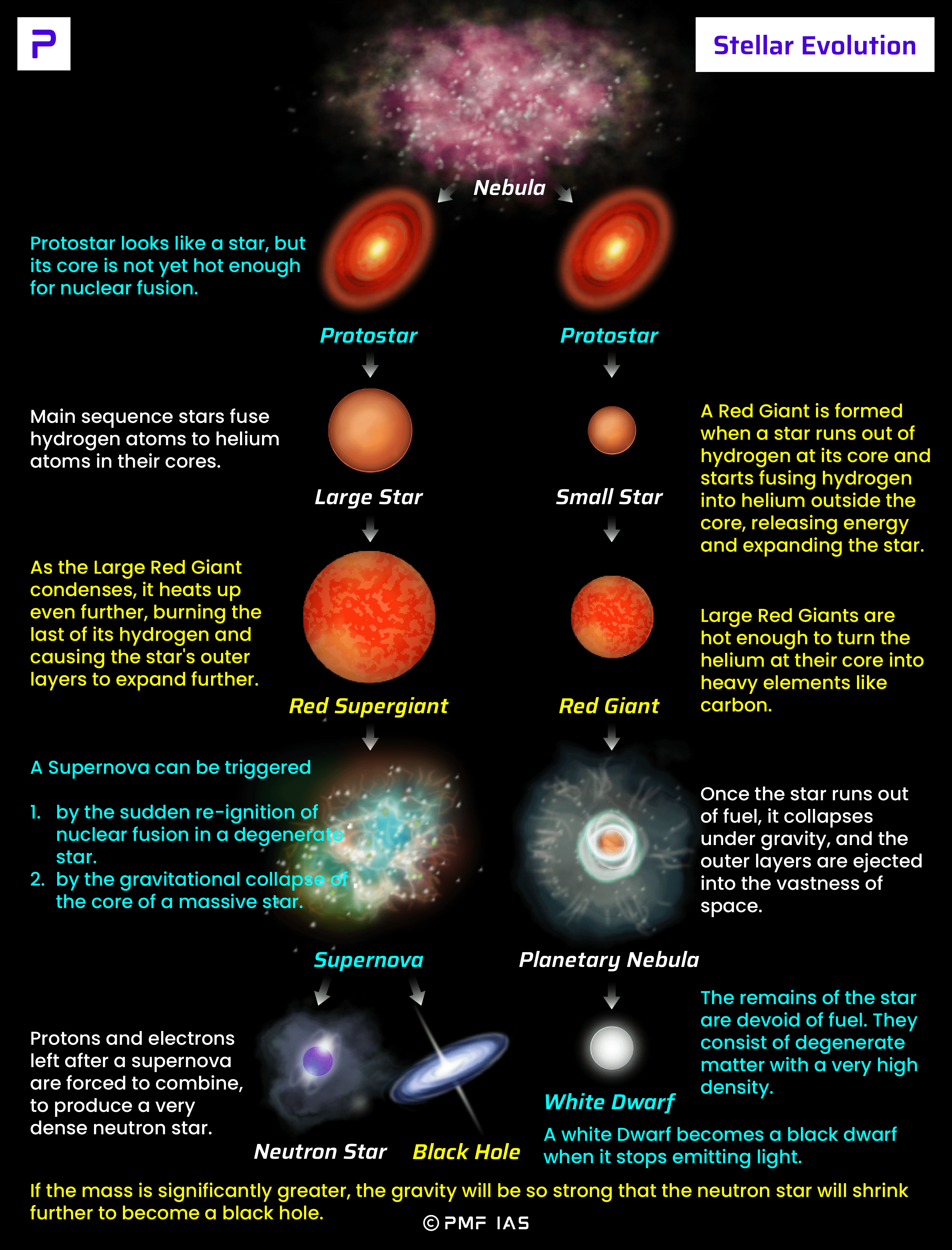 Stellar Evolution Life Cycle Of A Star Stock Vector I - vrogue.co