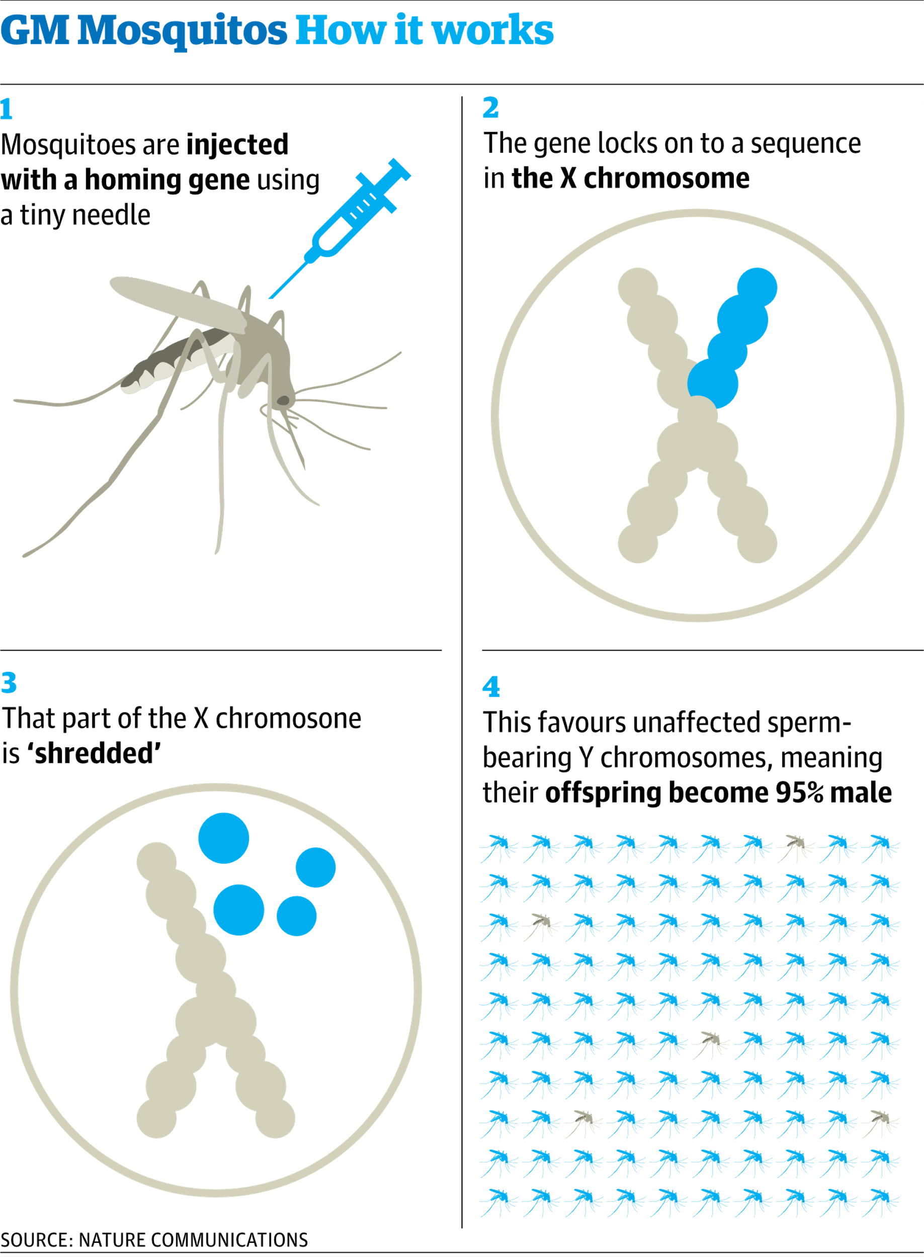 GM Mosquitoes - PMF IAS