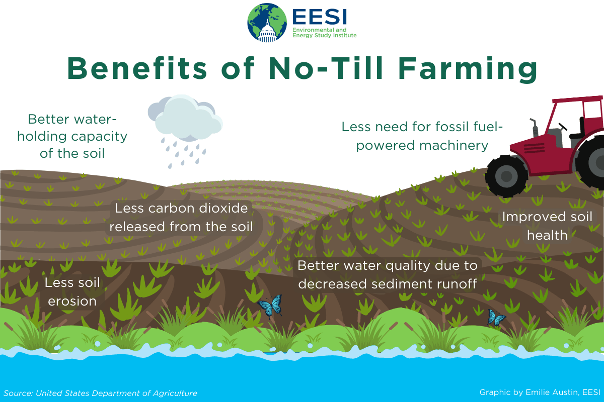 Illustration explaining benefits of no-till farming with labeled soil layers, plants, and a tractor on a field. Key points include better water-holding capacity, less carbon dioxide release, reduced soil erosion, improved soil health, decreased sediment runoff, and less need for fossil fuel-powered machinery. Illustration explaining benefits of no-till farming with labeled soil layers, plants, and a tractor on a field. Key points include better water-holding capacity, less carbon dioxide release, reduced soil erosion, improved soil health, decreased sediment runoff, and less need for fossil fuel-powered machinery.