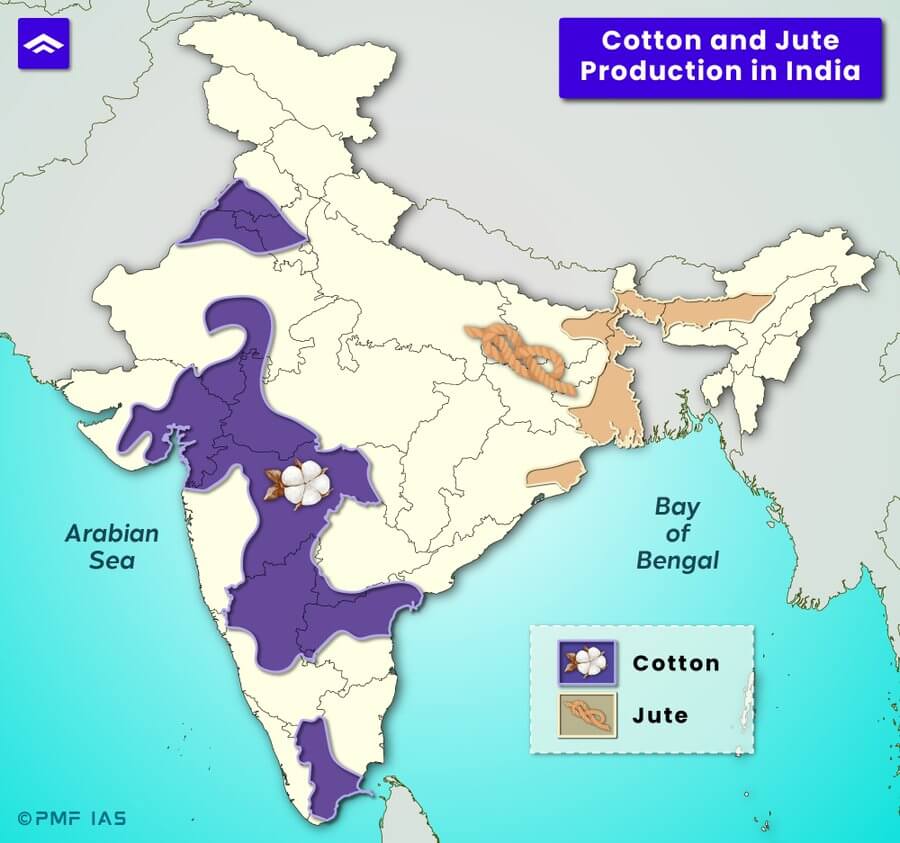 Map of India showing cotton and jute production regions, with cotton areas shaded in purple and jute areas shaded in light brown. Key cotton-producing states include Maharashtra, Gujarat, and Tamil Nadu, while jute production is concentrated in West Bengal and Assam near the Bay of Bengal. Map of India showing cotton and jute production regions, with cotton areas shaded in purple and jute areas shaded in light brown. Key cotton-producing states include Maharashtra, Gujarat, and Tamil Nadu, while jute production is concentrated in West Bengal and Assam near the Bay of Bengal.